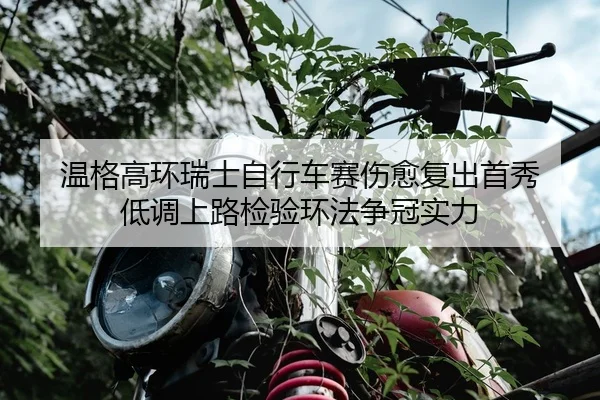 wen-ge-gao-huan-rui-shi-zi-xing-che-sai-shang-yu-fu-chu-shou-xiu-di-diao-shang-lu-jian-yan-huan-fa-zheng-guan-shi-li-2-549.jpg