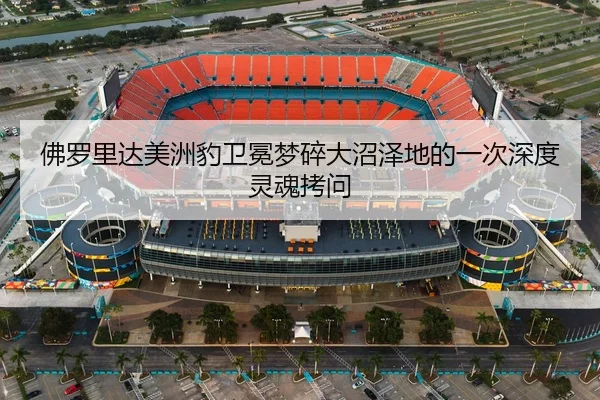 佛罗里达美洲豹卫冕梦碎大沼泽地的一次深度灵魂拷问